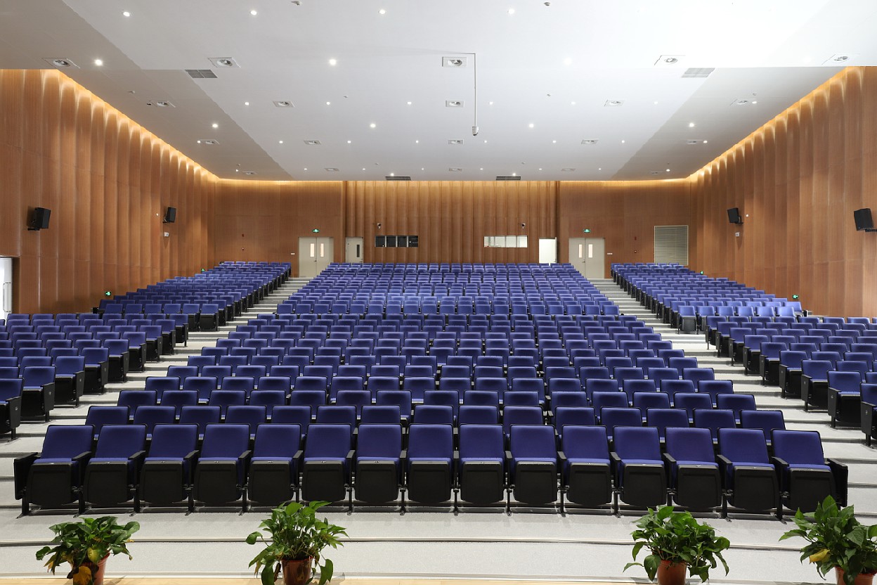 Auditorium seating LS 13601 IMG 3